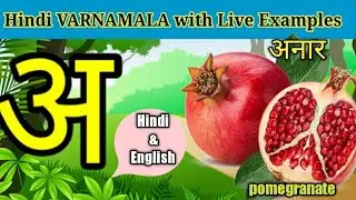 Hindi varnamala with Live Examples/ Hindi swar/Hindi vyanjan/अ से अनार आ से आम/हिन्दी वर्णमाला .