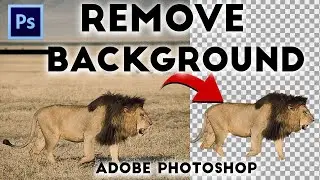 How to Remove background in Photoshop in one click 2023