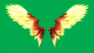 angel wings green screen overlay for editing 