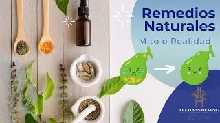 Remedios naturales para eliminar las piedras en la vesícula biliar: Mito o Realidad?