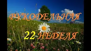 Рукодельно-вышивально-огородная 22 неделя (июль) 2021г /Вышивка/Огород/Снова цыплята?