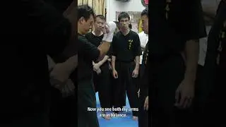 Wing Chun Lesson: Arm Position