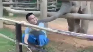 Play with me