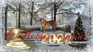 С наступающим Новым годом, Макаров!