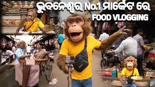 ଭୁବନେଶ୍ୱର ୧ ନମ୍ବର ମାର୍କେଟ ରେ FOOD VLOGGING !! ODIA MONKEY VLOGS