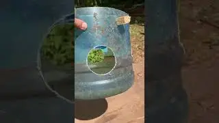 Бункерная кормушка для озера как кормить утку на водоеме кормушка для индоутки