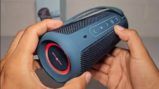 🎶Wise Tiger P3 speaker, for less than 50 dollars 😱‼️