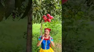 Survival Skills: SIMPLE but VERY USEFUL with Strawberry Candy #survival  #shorts #bushcraft