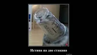 Приколы|Ржака|Самые смешные демотиваторы #2
