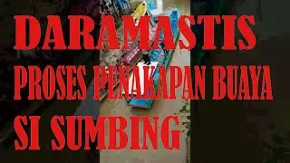 PROSES PENANGKAPAN BUAYA DI NUNUKAN UTARA MUARA MASAPA KALIMANTAN
