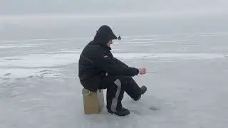 15 января 2023 г.