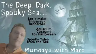 How to make an Aquarium costume! Marc's 