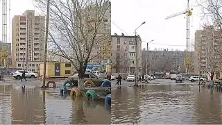 Шоу 
