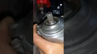dinamo stater astrea 800 bore up