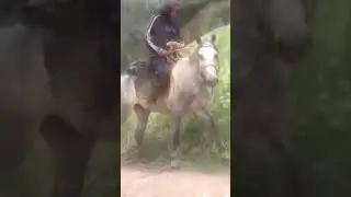 КАК ПОГИБ КЕНЕСАРЫ