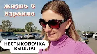 К нам переехала СВЕКРОВЬ! Перевозки в Израиле