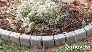 Дачный сезон закрываю ,бордюры на клумбах !!!