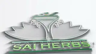 NMV Logo Animation: Transform Your Brand Identity with After Effects Magic! 🌟✨ #NMVLogoAnimation