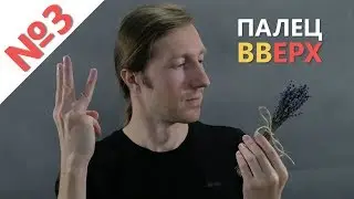 Finger gymnastics / Finger games (development of fine motor skills)