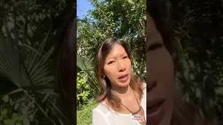 Vitamina D