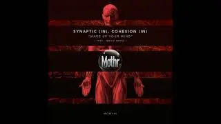 Synaptic (IN), Cohesion (IN) - Karma Transit (Original Mix)