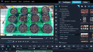 Corel VideoStudio 2023: Image Rotation Made Simple ✅ 