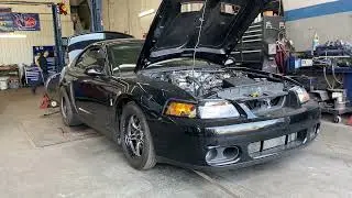 Mustang Cobra svt 2004 EFI Advance Street tune like no boost 14 timing