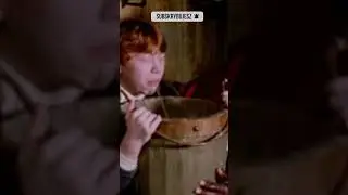 Motyw z Filmu w Hogwarts Legacy #shorts #esteregg #hogwartslegacy #ciekawostki