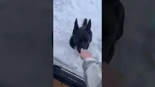 В ЧËМ ОТЛИЧИИ НОВОГО И СТАРОГО АВТОДОМА? 🤔🚐