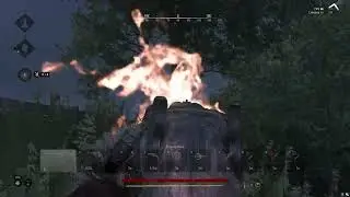 Hunt: Showdown - Оскорблять не надо