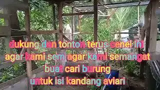 jaring burung terus buat isi aviari masih kosong