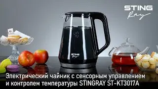 Чайник STINGRAY ST-KT3017A