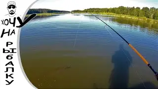 Утренняя рыбалка на домашнем водоеме. Скучно и жарко. 25.06.2020