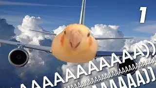 9 MIN OF DANK BIRB MEMES #1