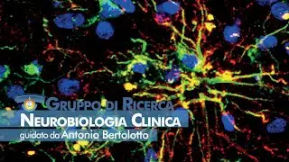 NICO - Neurobiologia Clinica