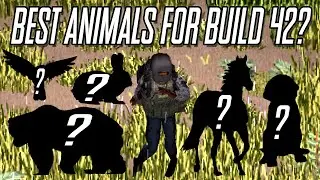 Which Animals Should Project Zomboid Add In Build 42?