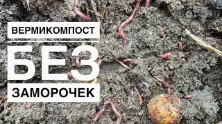Пионы и вермикомпост. Калифорнийские черви для простого дачника