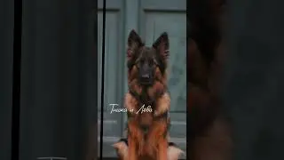 Эдит Но🤤❣💓❣❣