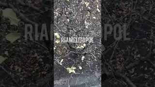 Под Мелитополем утро началось со взрывов1