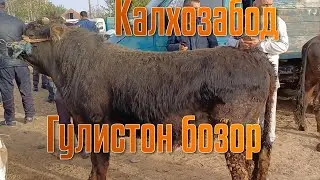 Калхозабод Гулистон бозор 👍 👍