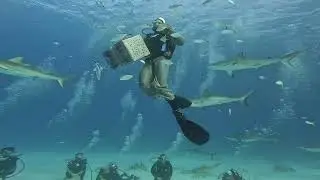 Scuba Diving-Lunch Time-The Arena-1/20/23-Nausau Bahamas-Stuart's Cove