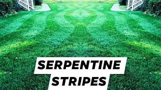MOWING LAWN STRIPES // Serpentine stripes // wave pattern