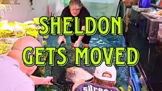 Sheldon moved to to 3000