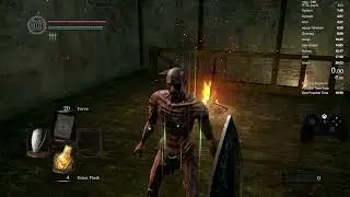 xd
