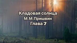 "Кладовая солнца"/М.М.Пришвин/Глава 7