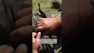 Как готовят новобранцев СВО?
