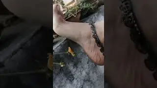Indonesia girl feet