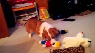 Oh, no!!! Mr. Bill