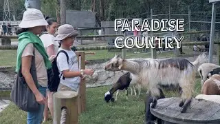Paradise Country, Aussie Farm Experience in Gold Coast
