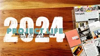 2024 Project Life // Week 28: Stash Busting